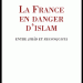 René Marchand : La France en danger d'Islam