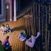 Rob Gonsalves, Woods within